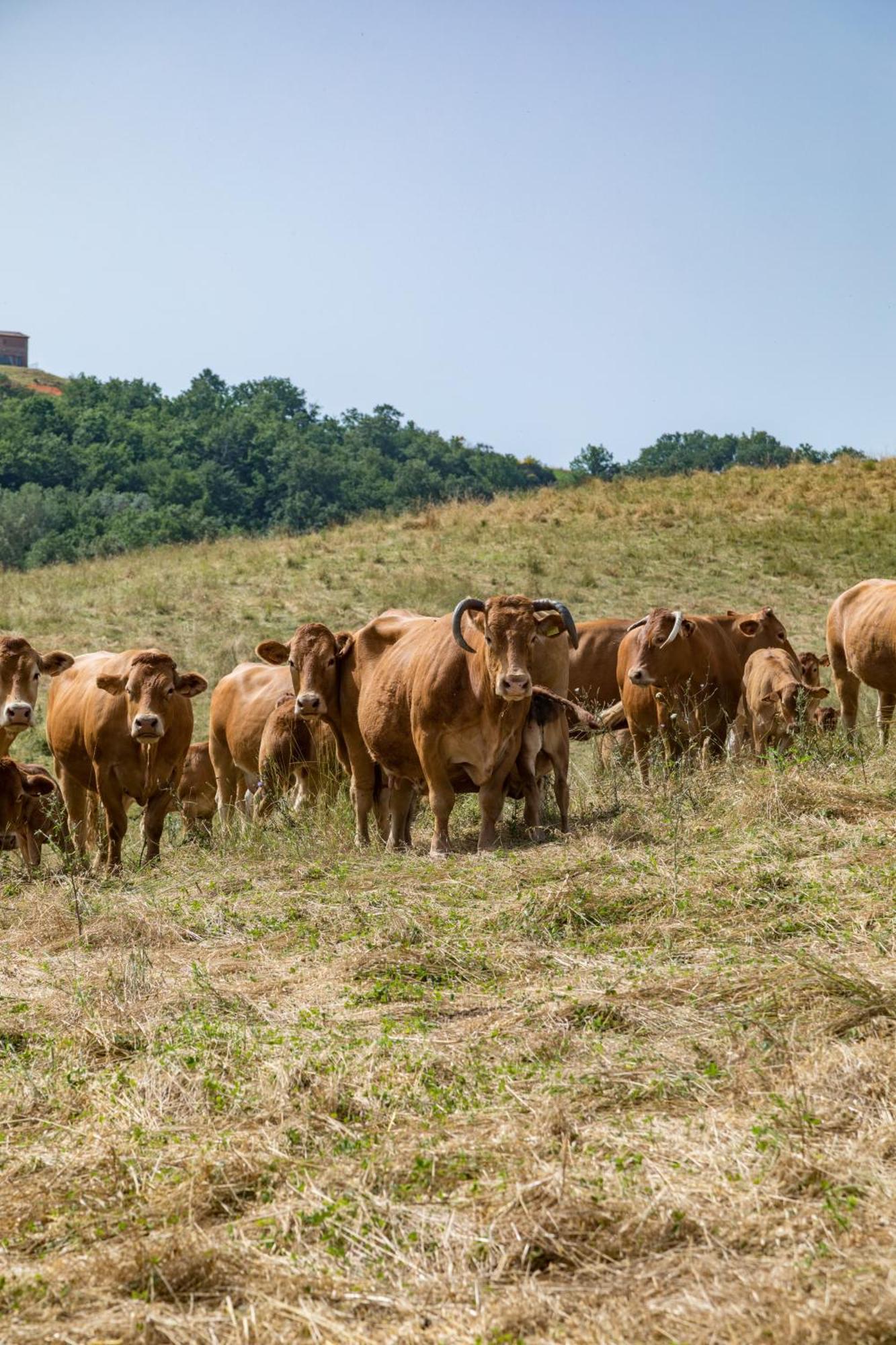 Villa Agriturismo Tenuta La Campana Ашано Экстерьер фото